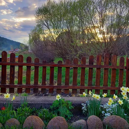 здравец יאגודינה