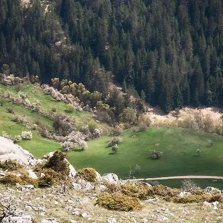 здравец * Yagodina