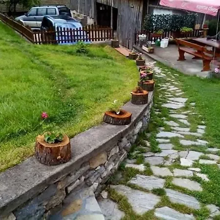 здравец * יאגודינה