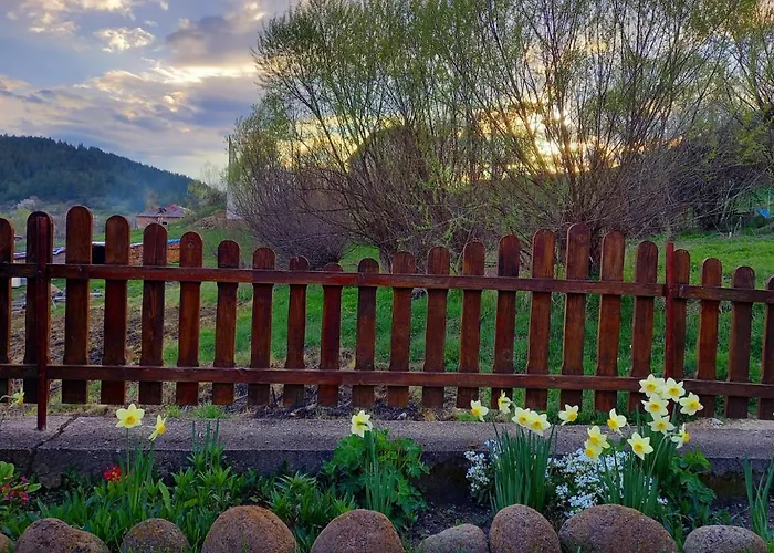 здравец יאגודינה