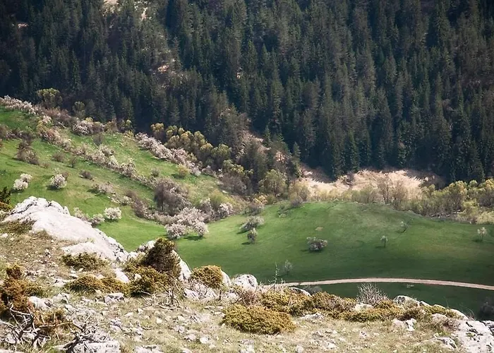 здравец * יאגודינה