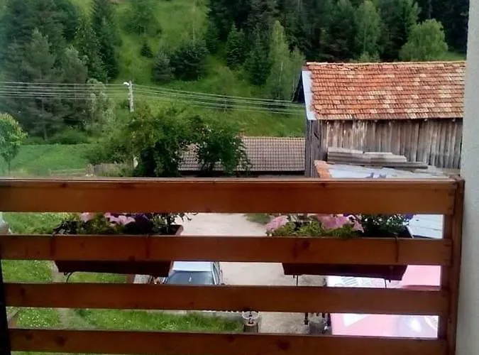 здравец بيت للعطل