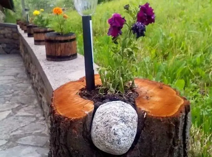 بيت للعطل здравец *